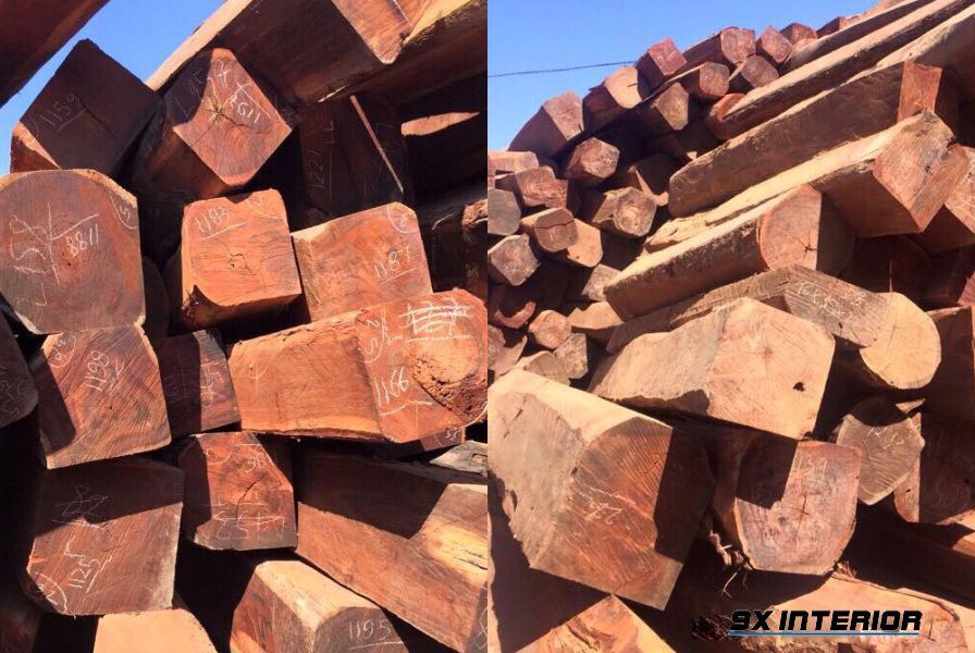 Giá bán loại gỗ này không chỉ tính trên m3, nó còn phụ thuộc vào đường kính và chiều dài khối gỗ, nguồn gốc của gỗ.