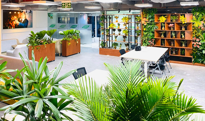 Thiết kế văn phòng hiện đại với không gian xanh