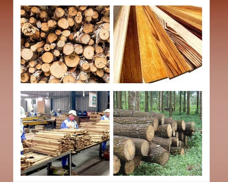 Nội thất chung cư nên dùng gỗ nào? Gỗ tự nhiên hay gỗ công nghiệp là tốt nhất?