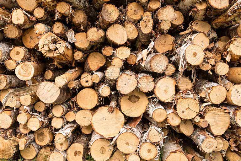 7 lý do nên sử dụng gỗ tự nhiên cho nội thất căn hộ